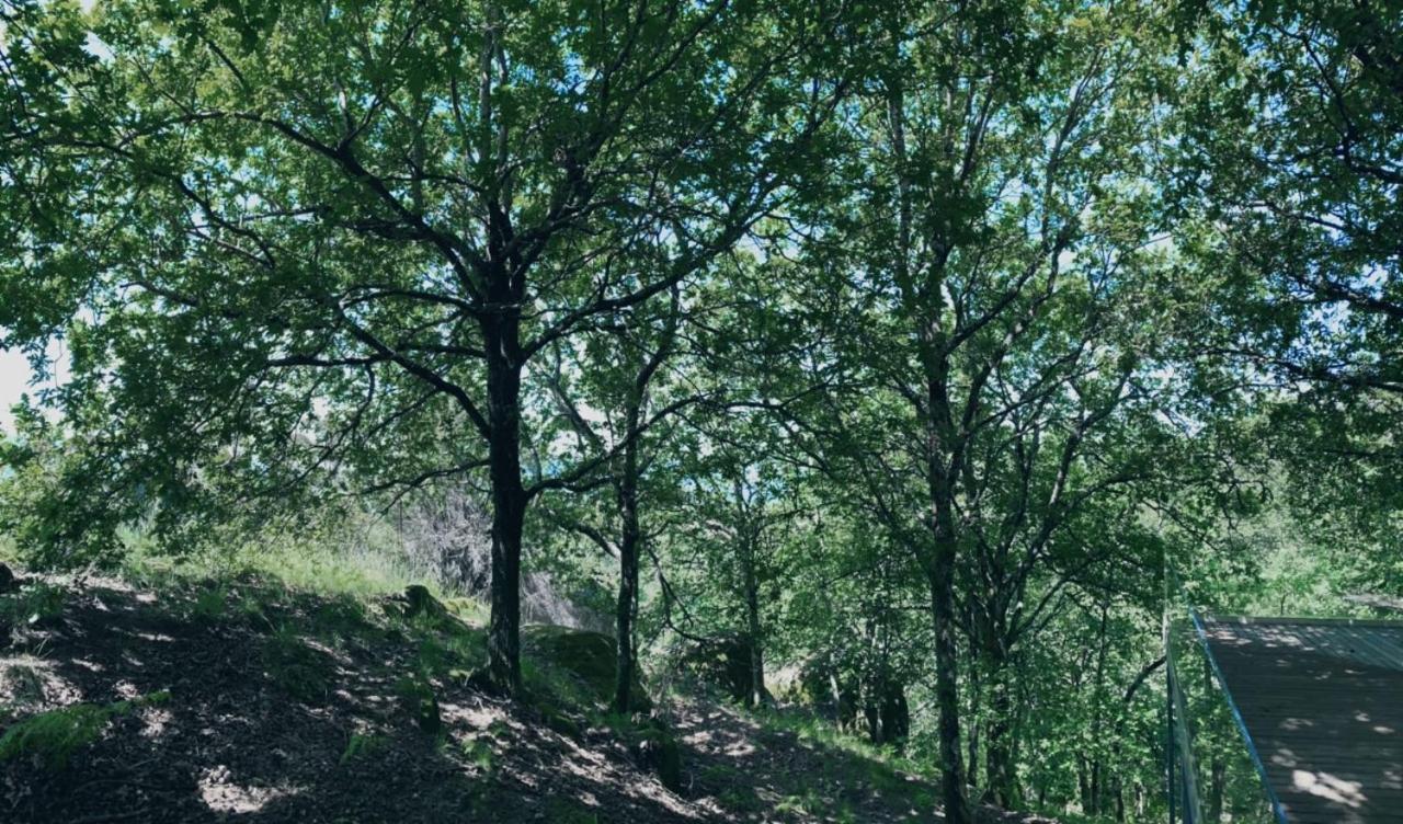 Oak Nature Vieira do Minho Exterior photo